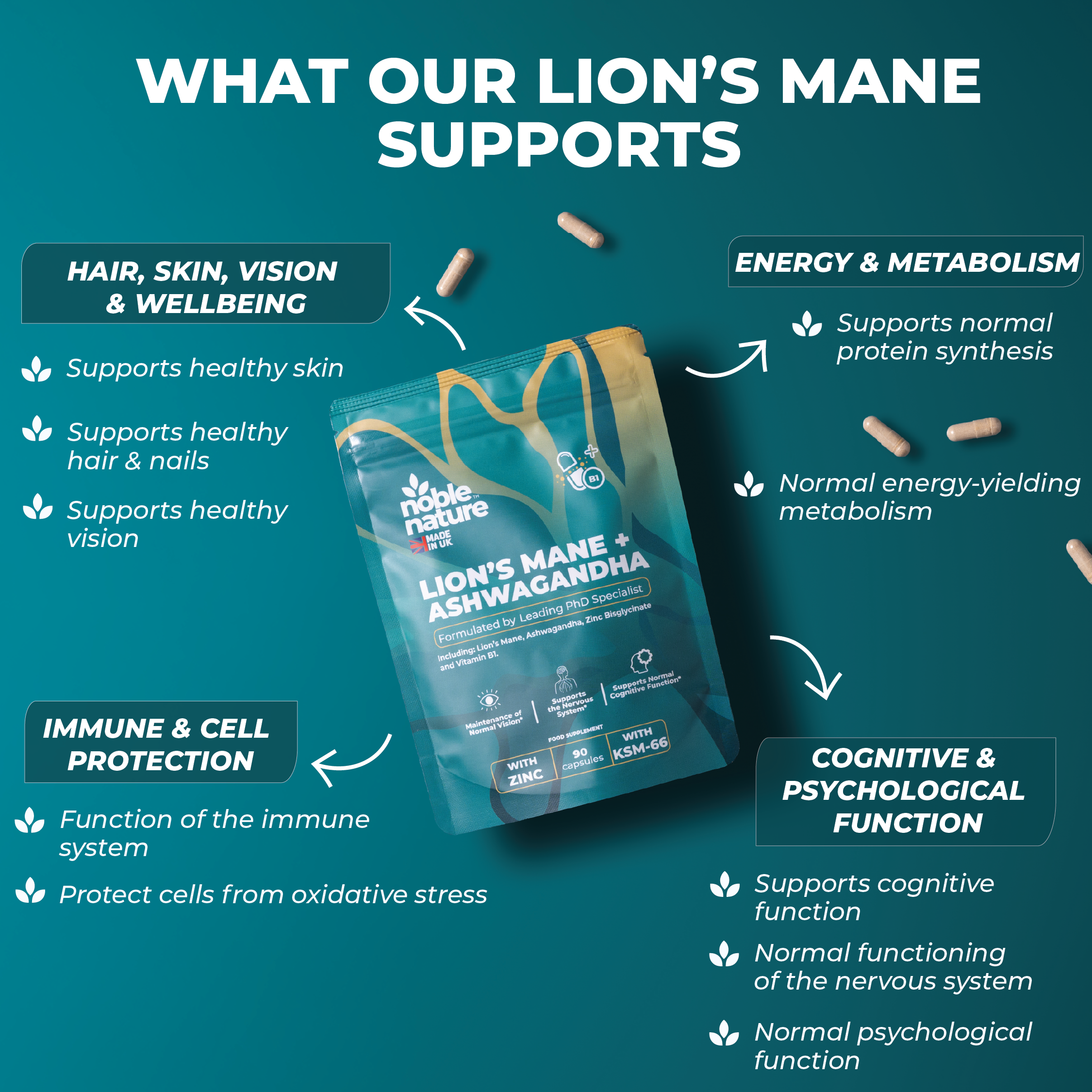 Lions Mane ashwagandha 4 in 1 with Zinc bisglycinate and Vitamin B1