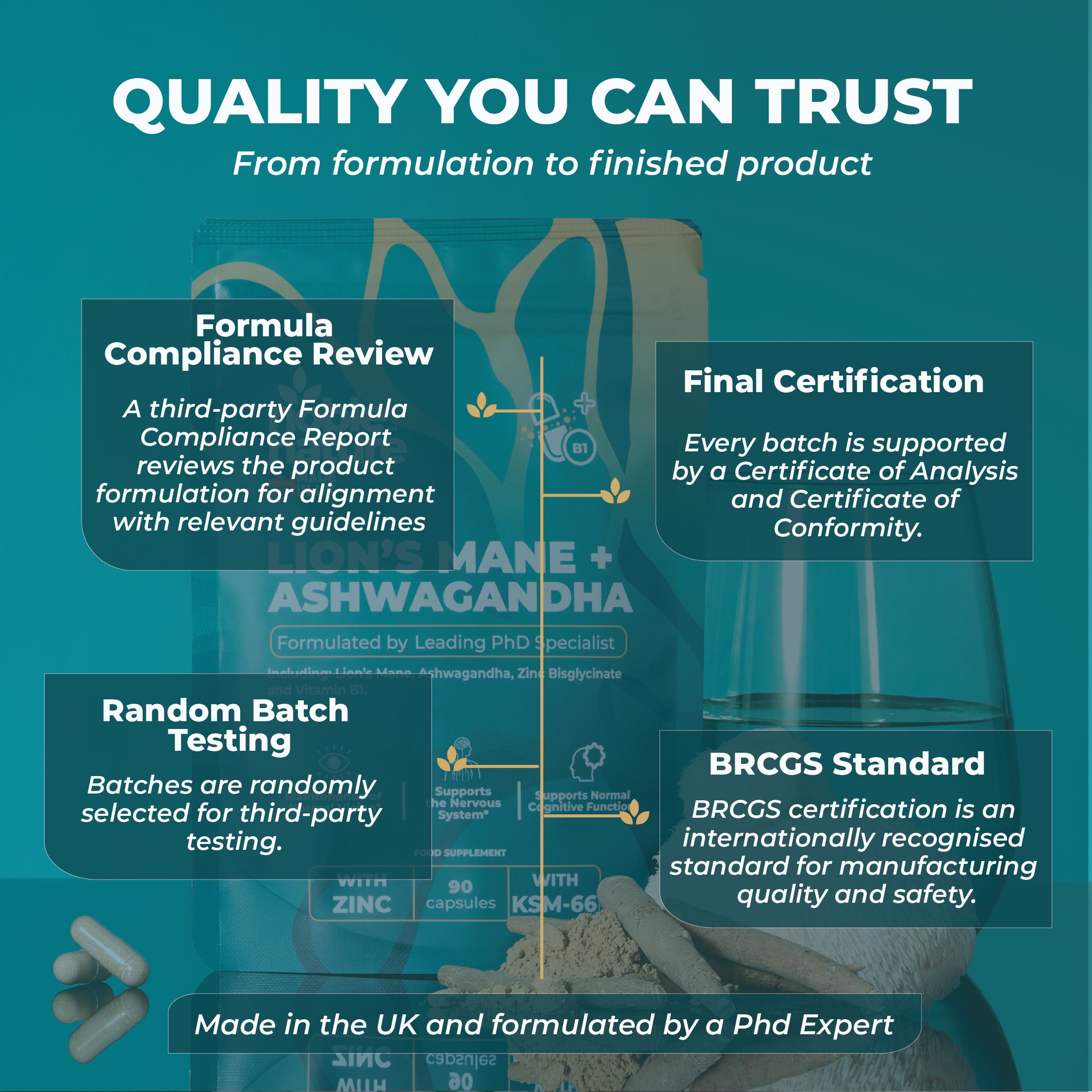 Lions Mane ashwagandha 4 in 1 with Zinc bisglycinate and Vitamin B1