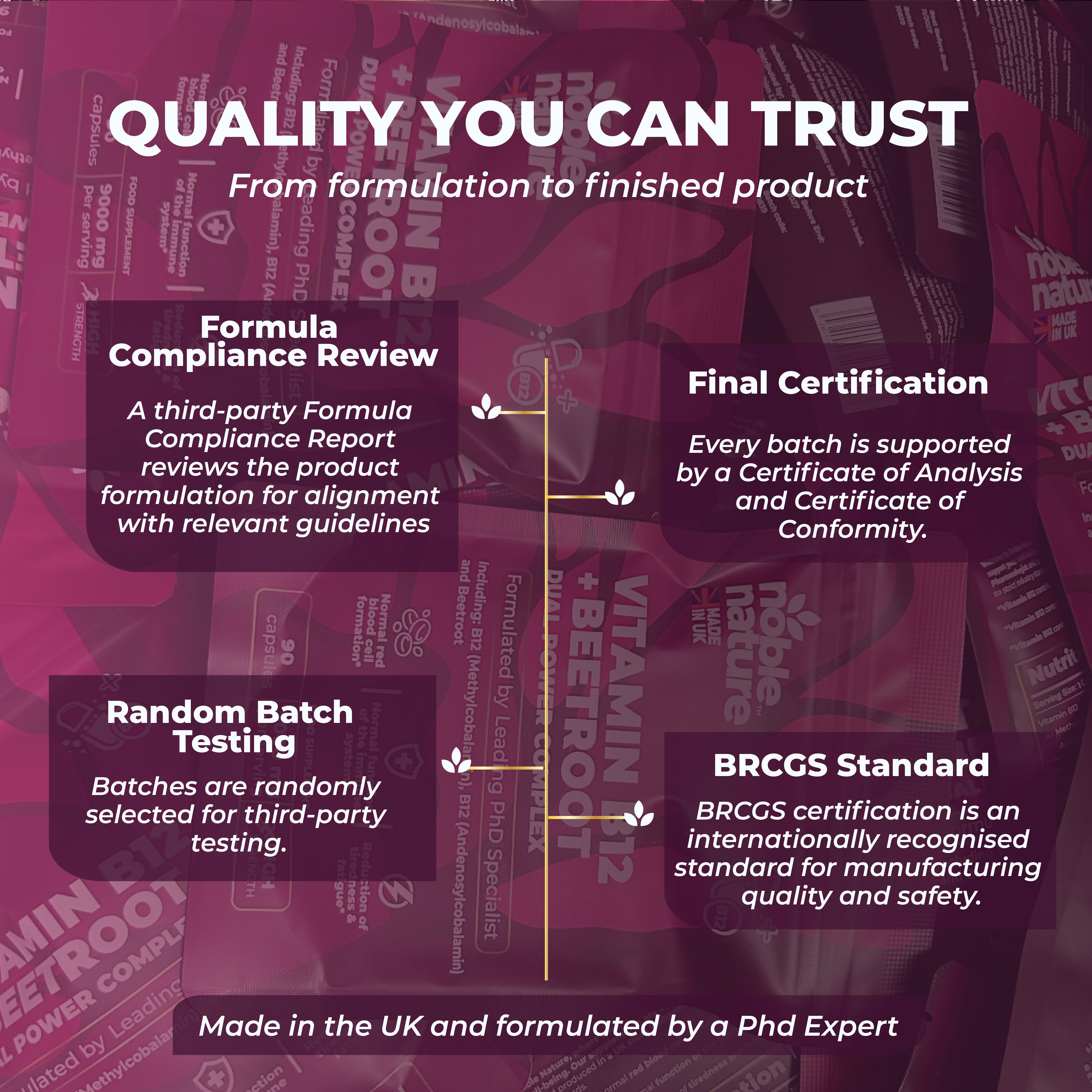 Vitamin B12 & Beetroot Dual power